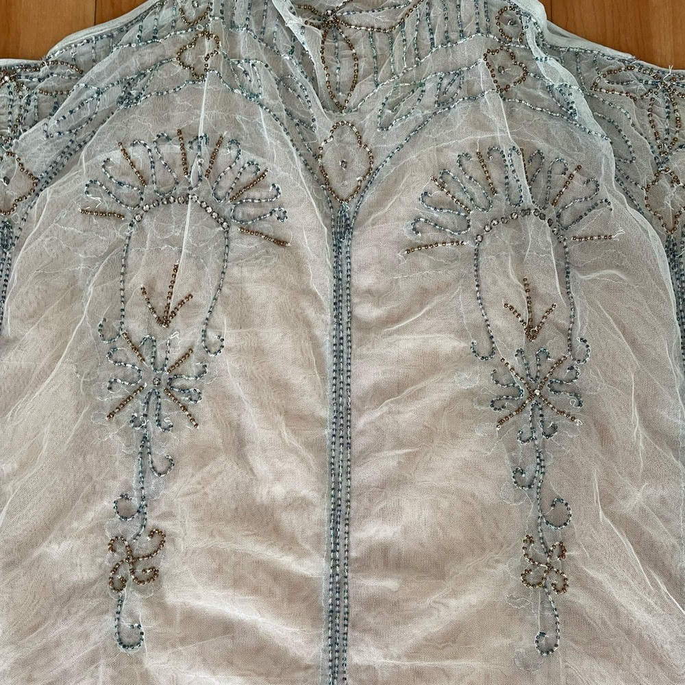 Free People Sheer Embroidered Light Blue Overlay Dress - Picture 2 of 14